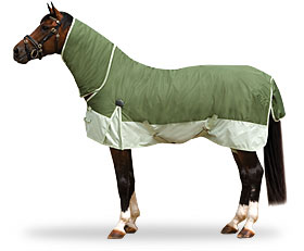 ӦHorse Blanket